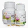 MILK THISTLE TABLET