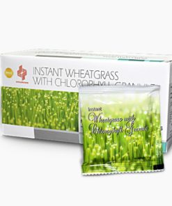 INSTANT WHEATGRASS