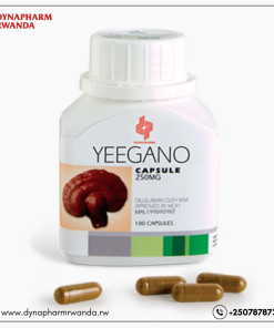 The only known source of a group of triterpenes, known as ganoderic acids, which have a molecular structure similar to steroid hormones. A source of biologically active polysaccharides for improved immune and detoxification. TRADITIONAL USES: • Promotes blood circulation and improves the constitution of the body • Protects the body against radiation • Helps to normalize the liver functions